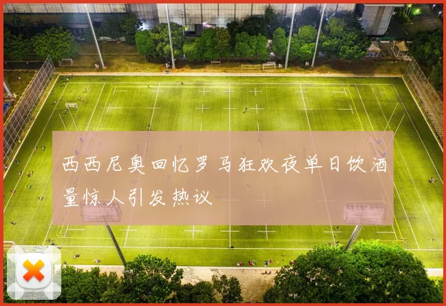 西西尼奥回忆罗马狂欢夜单日饮酒量惊人引发热议