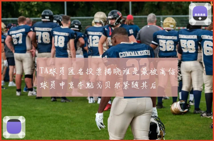 TA球员匿名投票揭晓谁是最被高估球员申京夺魁戈贝尔紧随其后